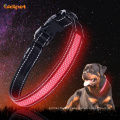 High Quality Nylon Fabric Mesh Led Dog Collar